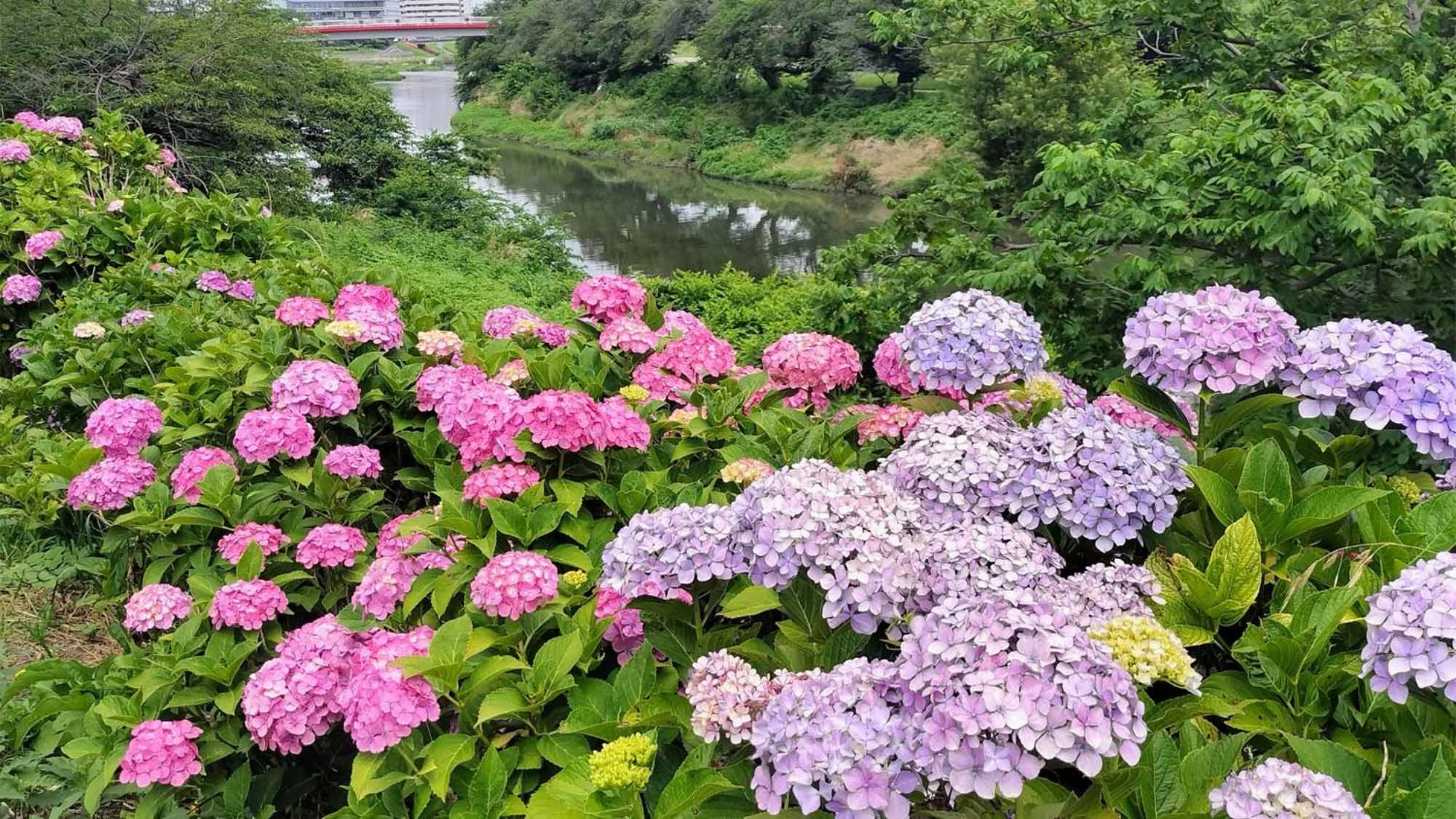 토요코인 시키에키 히가시구치 Shiki 외부 사진